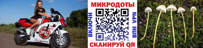 Псилоцибиновые грибы Psilocybe  Тайшет 